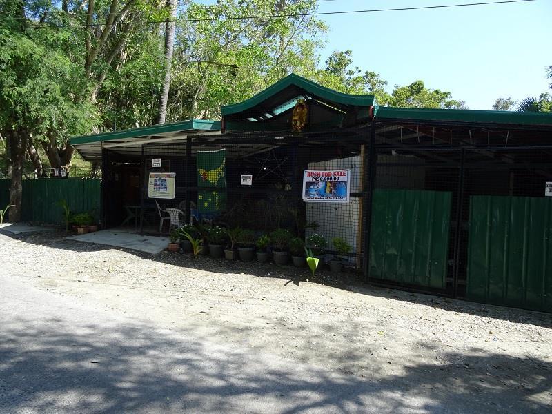 פוארטו גאלרה Happy Buddha Inn מראה חיצוני תמונה