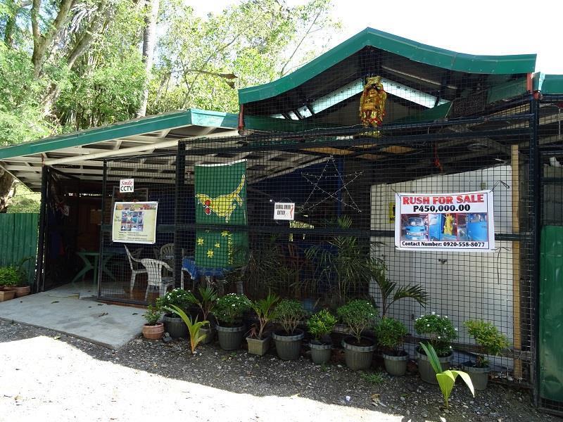 פוארטו גאלרה Happy Buddha Inn מראה חיצוני תמונה